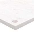 vidaXL Doska stolíka biela 100x55x2,5 cm masívne borovicové drevo