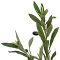 vidaXL Umelý olivovník 450 listov 120 cm zelený