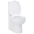 vidaXL Keramická toaleta/WC do kúpeľne, rohová, biela