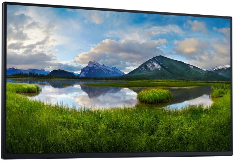 DELL P2425HE BEZ STOJANU/ 24" LED/ 16:9/ 1920x1080/ 1500:1/ 5ms/ Full HD/ 3H IPS/USB-C/3xUSB/2xDP/HDMI/RJ45/ 3Y Basic LED monitor, 23,8", IPS, 1920×1080, 16:9, 5ms, 1500:1, 250cd/m2, HDMI, 2× DisplayPort, 3× USB, 2× USB-C, 1× RJ-45, 3Y basic, bez