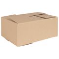 vidaXL Skladací box s úložiskom 50 ks Prírodná 35 x 24 x 15 cm Kartón