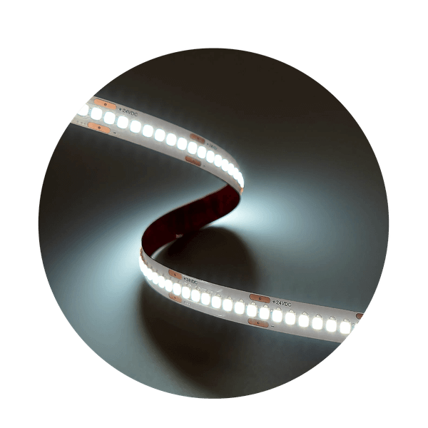 Modee LED pás DC24V 19,2W/m 240LED/m 10mm 6000K (2300 lm/m) B5 (ML-LS24V96W240L/M6000KB5)
