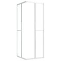 vidaXL Sprchovací kút matný ESG 80x80x180 cm