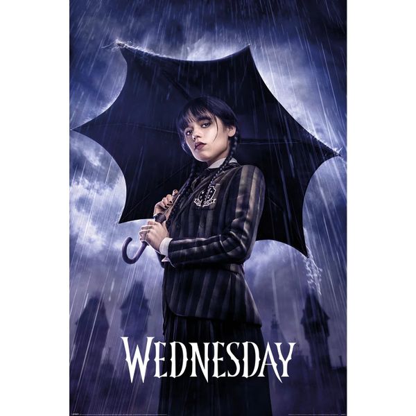 Plagát Wednesday - Downpour