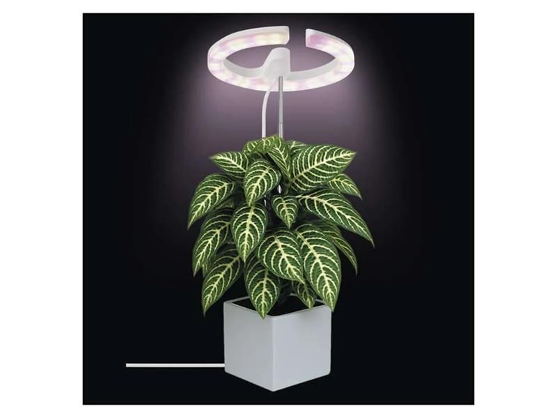 Rastúca lampa EMOS Z7902 Grow 8W
