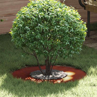 vidaXL vhodný pre ploché stromové krúžky 5 ks Hrdzavý Ø30/60 cm