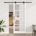 vidaXL Posuvné dvere Biela 93 x 232 cm Masívne borovicové drevo a sklo