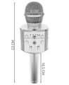 Karaoke mikrofón WS-858/Izoxis 22188 SILVER Karaoke mikrofon WS-858 / Izoxis 22188 SILVER