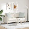 vidaXL Vankúše na pohovku 2 pcs Svetlosivá 80 x 80 cm
