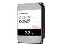 Pevný disk - 22 TB - interní - 3.5" - SAS 12Gb/s - 7200 ot/min. - vyrovnávací paměť: 512 MB