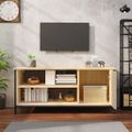 vidaXL TV skrinka dub sonoma 100x40x45 cm spracované drevo