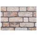 vidaXL Nástenné panely 10 ks 100 x 50 cm Svetlohnedá EPS pena