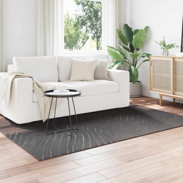 vidaXL Kusové koberce PALMERAS Antracit 170 x 120 cm Polyester