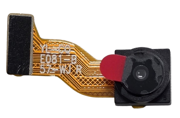 30232