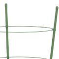 vidaXL Podpery pre záhradné rastliny s 3 krúžkami 5ks zelené 75cm oceľ
