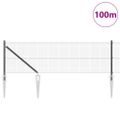 vidaXL Zváraný drôtový plot s hrotmi 100 x 0,6 m Oceľ s PVC povrchom