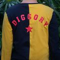 Tričko Harry Potter - Turnaj troch čarodejníkov: Cedric Diggory