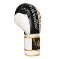 Boxerské rukavice DBX BUSHIDO B-2v16 10 oz