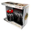 Darčeková sada Harry Potter - Harry, Ron a Hermiona