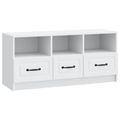 vidaXL TV skrinka Biela 102 x 34,5 x 47 cm Kompozitné drevo