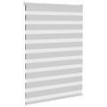 vidaXL Zebra roleta svetlosivá 95x150cm šírka látky 90,9 cm polyester
