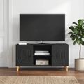 vidaXL TV skrinka Čierna 102 x 34,5 x 50 cm Kompozitné drevo