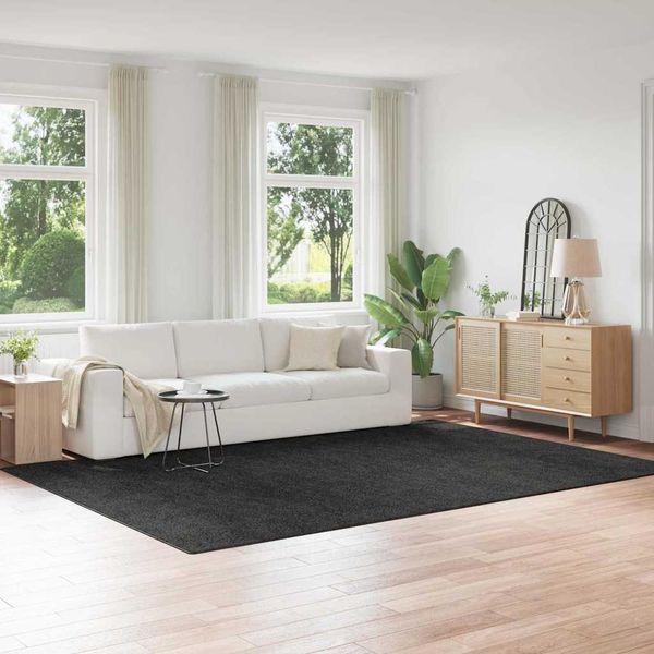 vidaXL Protišmykový Shaggy Koberec Tmavosivá 240 x 340 cm PP