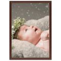 vidaXL Fotorámiky na stenu alebo stôl 5 ks tmavočervené 29,7x42 cm