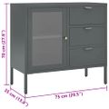 vidaXL Komoda antracitová 75x35x70 cm oceľ a tvrdené sklo