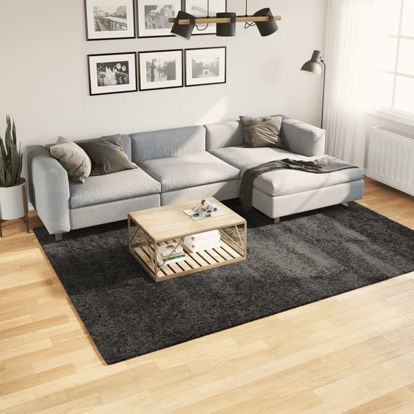 vidaXL Shaggy koberec PAMPLONA, vysoký vlas moderný antracit 200x280cm