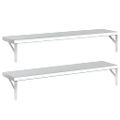 vidaXL Nástenné police 2 ks 100x23,5cm, strieborné, nehrdzavejúca oceľ