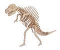 Woodcraft Drevné 3D puzzle Spinosaurus
