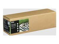 Epson Fine Art II - Bavlna - matný - 490 mikrónov - hladká, žiarivá - Rolka (43,2 cm x 15 m) - 300 g/m² - 1 rolka puzdro - bavlnený papier