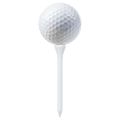 vidaXL Golfové téčka 1000 ks 54 mm bambus