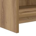 vidaXL TV skrinka 100 x 33 x 47 cm Dub artisan Kompozitné drevo