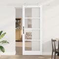 vidaXL Posuvné dvere 83 x 211 cm Masívne borovicové drevo a sklo Biela