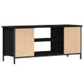 vidaXL TV skrinka 102 x 35 x 45 cm Čierny dub Kompozitné drevo