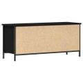 vidaXL TV skrinka 100 x 35 x 45 cm Čierny dub Kompozitné drevo
