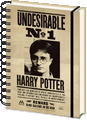 Zápisník Harry Potter - Sirius a Harry 3D