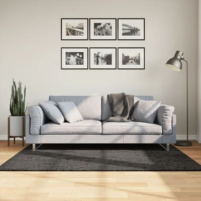 vidaXL Koberec ISTAN vysoký vlas lesklý antracitový 120x170 cm