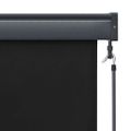 vidaXL Vonkajšia zatemňovacia roleta 100x250 cm antracitová