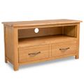 vidaXL TV skrinka 90x35x48 cm, dubový masív