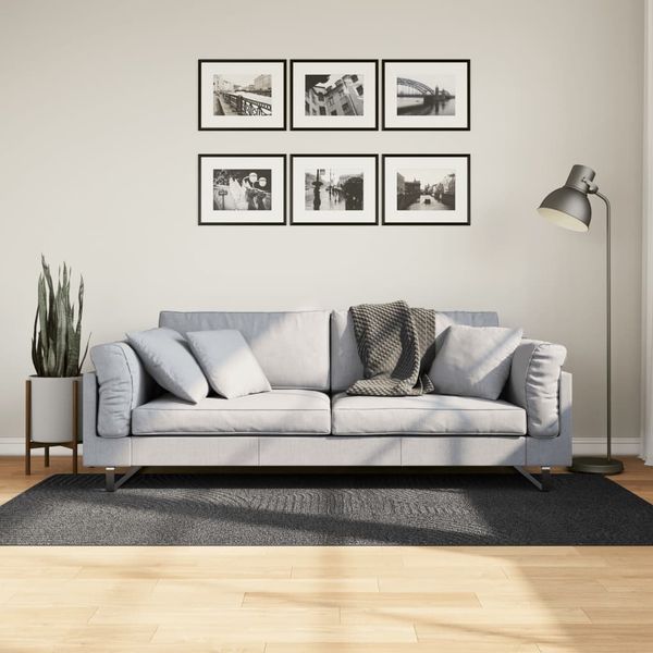 vidaXL Koberec IZA krátky vlas škandinávsky vzhľad antracit 100x200 cm