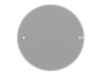 IP reproduktor - pre PA systém - Ethernet, Fast Ethernet, PoE - Ovládanie cez aplikáciu - koaxiál (farba mriežky - RAL 9010)