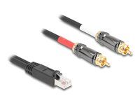 Adapter Cable RJ45 plug to 2 x RCA male