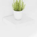 vidaXL Plávajúce nástenné police 4 ks, lesklé biele 23x23,5x3,8cm, MDF