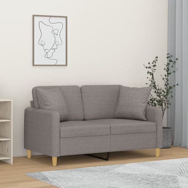 vidaXL 2-miestna pohovka s vankúšmi svetlosivá 120 cm látka