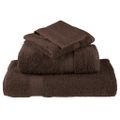 vidaXL Prémiové uteráky pre hostí SOLUND 2 ks hnedé 30x50 cm 600 g/m²