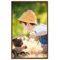 vidaXL Fotorámiky na stenu alebo stôl 10 ks bronzové 13x18 cm MDF