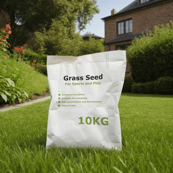 vidaXL Trávové semeno na športoviská 10 kg